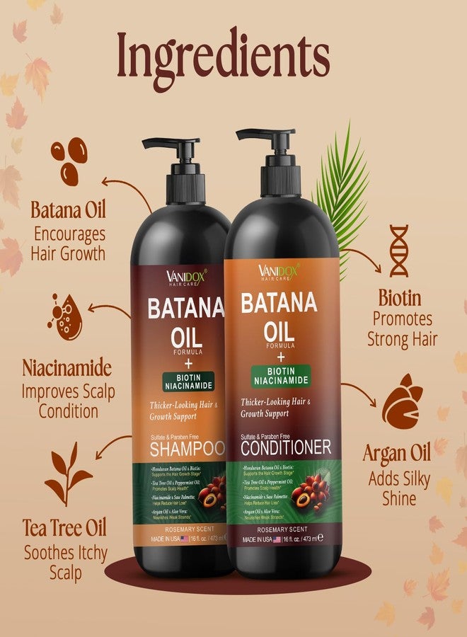 VANIDOX Batana Oil Shampoo and Conditioner Set – Biotin & Niacinamide Infused – Sulfate-Free, Paraben-Free – Moisturizing & Strengthening Hair Care for All Hair Types – 2 x 16 fl oz - Image 4